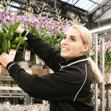 Medewerker Klantafhandeling (Parttime/Fulltime)