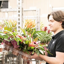 Logistiek medewerker Bloemen