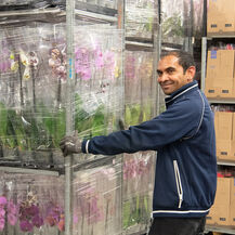 Logistiek Medewerker Bloemen