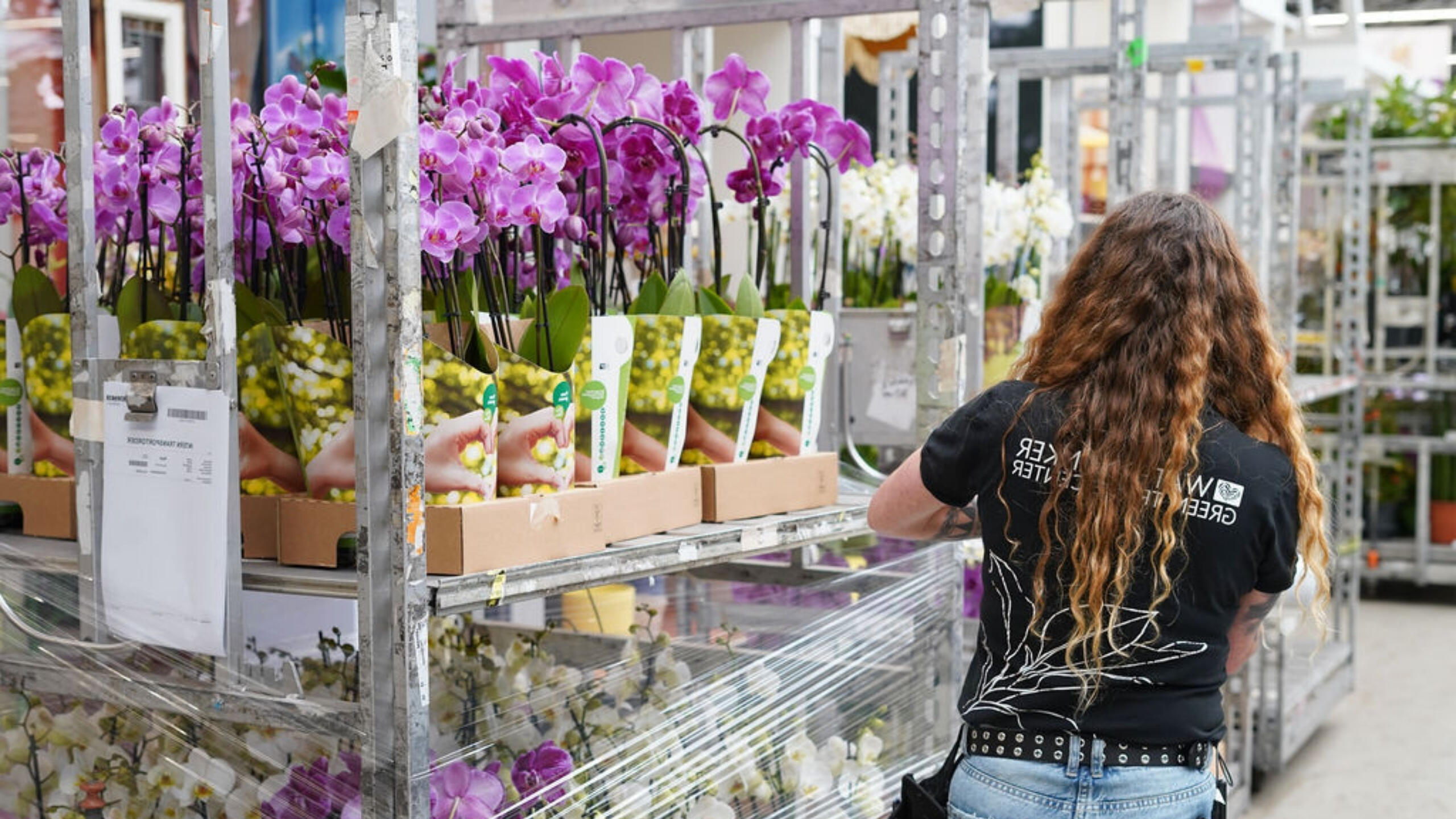 <strong>Op zoek</strong> naar een baan in het Green Trade Center?