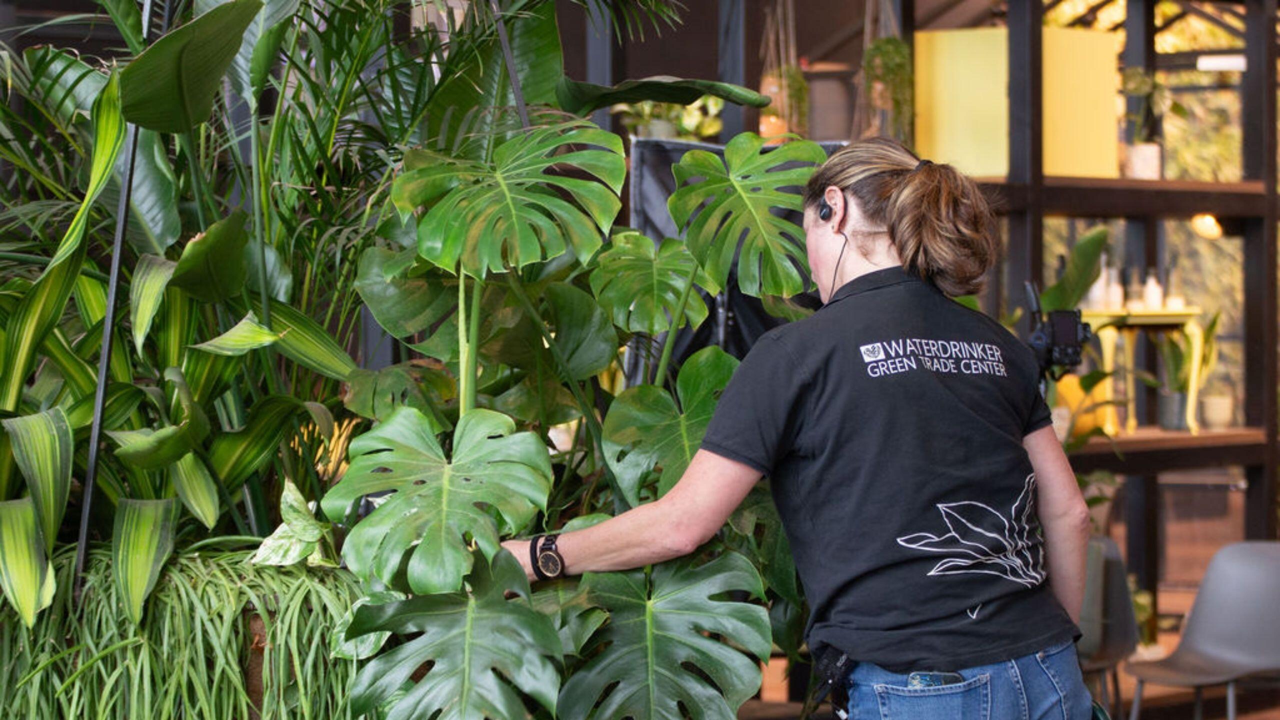 <strong>Waarom</strong> werken bij Waterdrinker