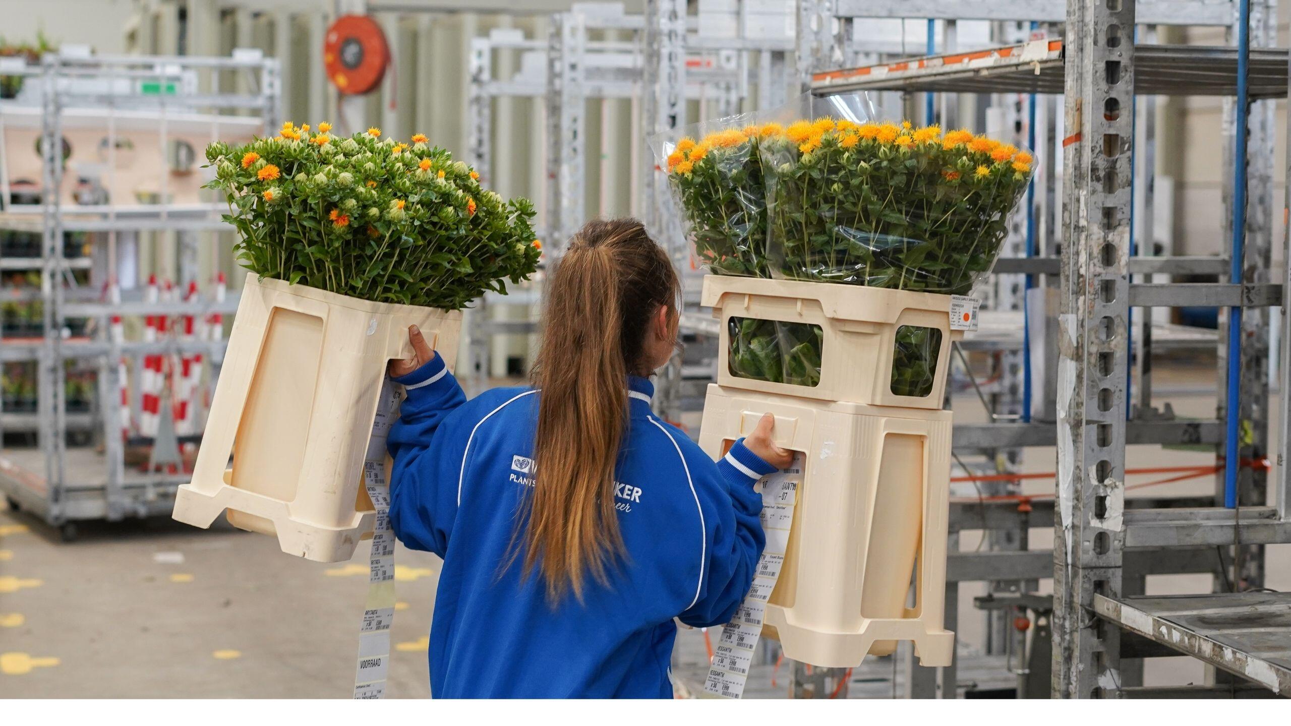 <strong>Op zoek</strong> naar een baan in de logistiek?