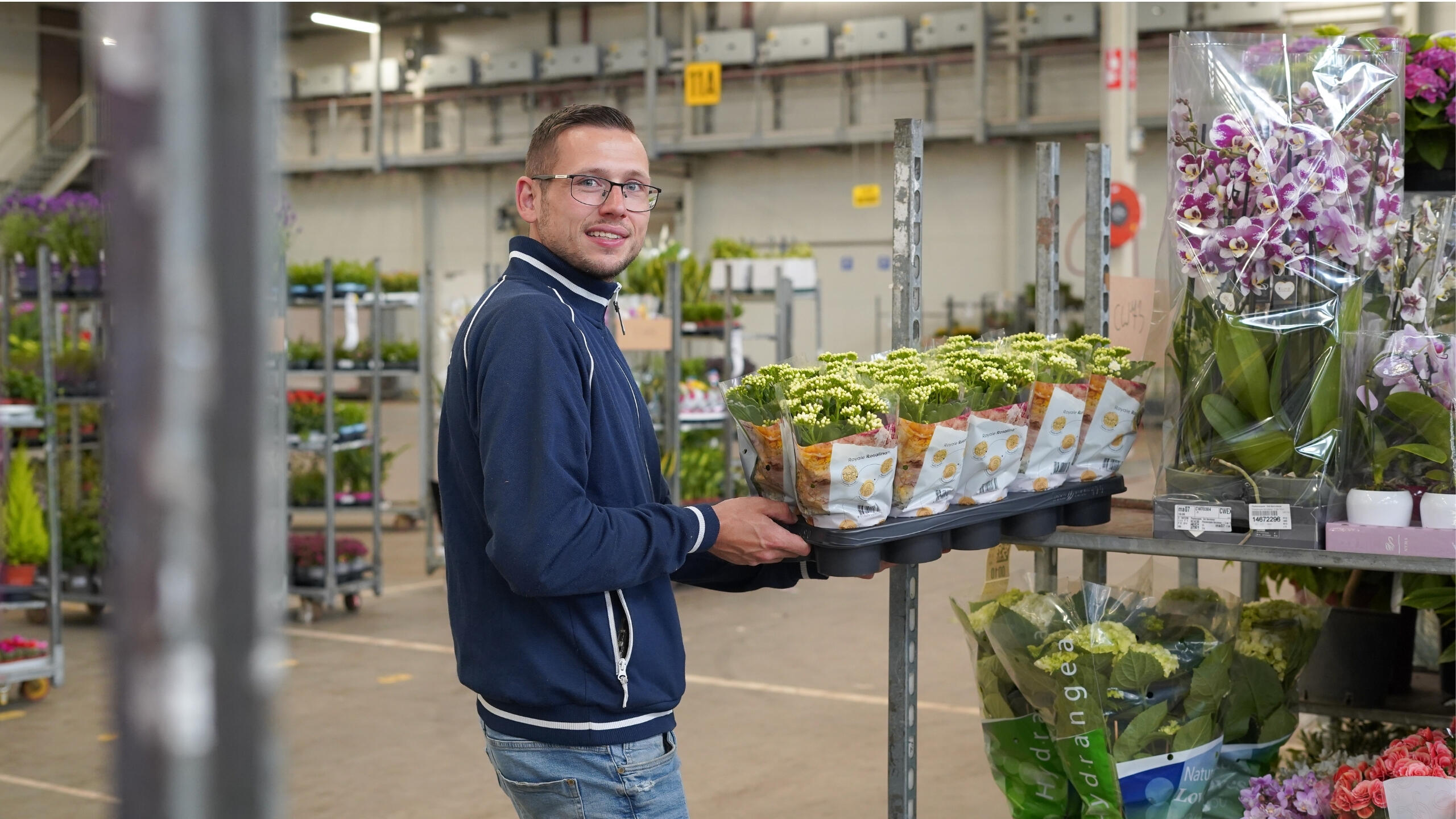 <strong>Growing</strong> a Green Career