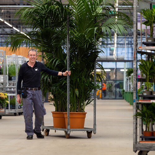 Medewerker Scannen & Service (Parttime)