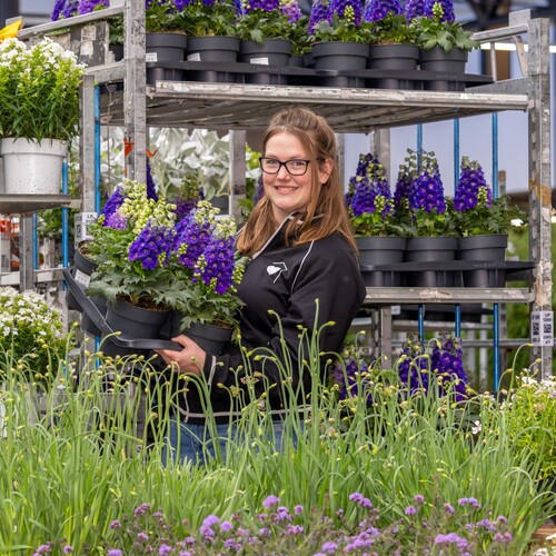 Medewerker Scannen & Service (Parttime)