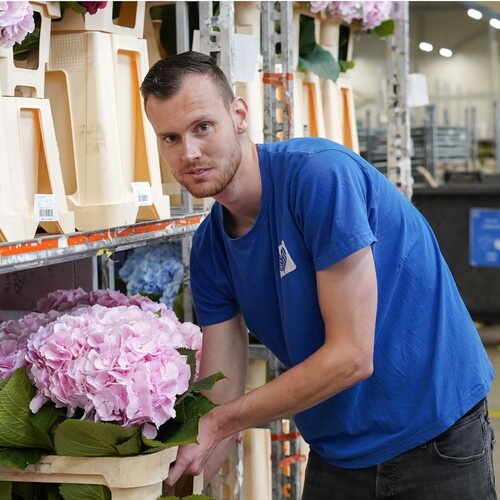 Stagiair Supply Chain/Logistiek – Meewerkstage of Afstuderen