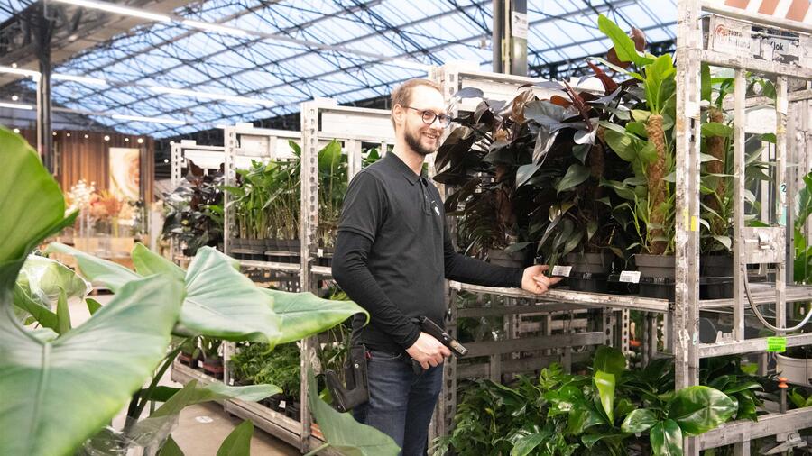 <strong>Op zoek</strong> naar een baan in het Green Trade Center?